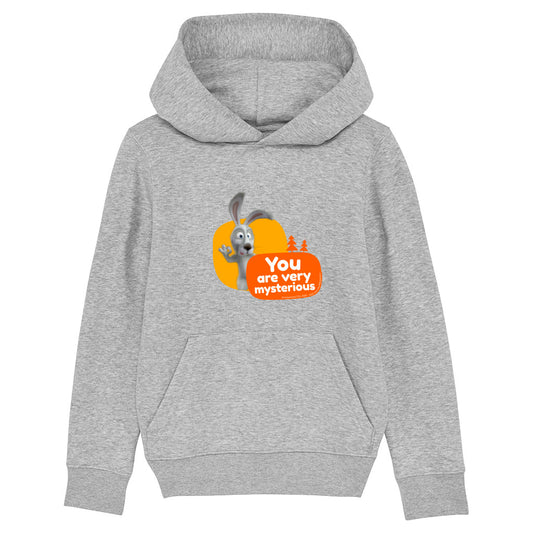 Mysterious Hare Grey Hoodie